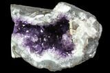 Beautiful Purple Amethyst Geode - Uruguay #87445-1